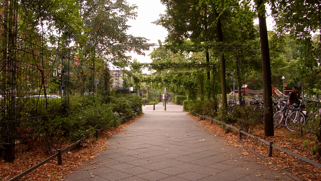 SH107837.JPG