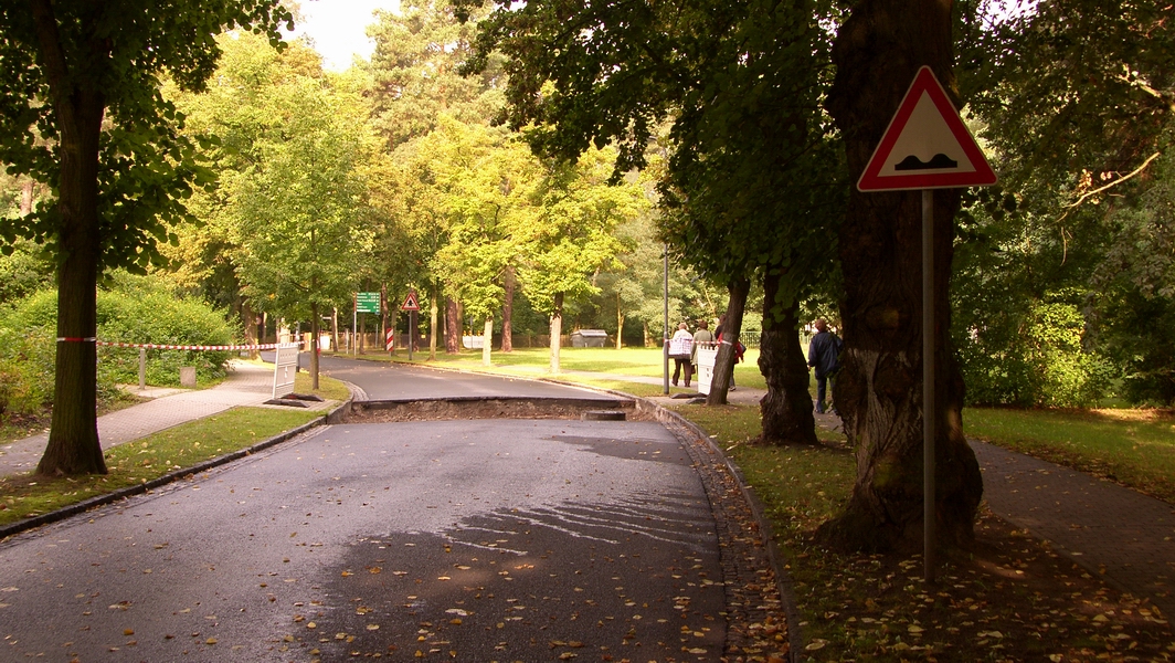 SH107851.JPG