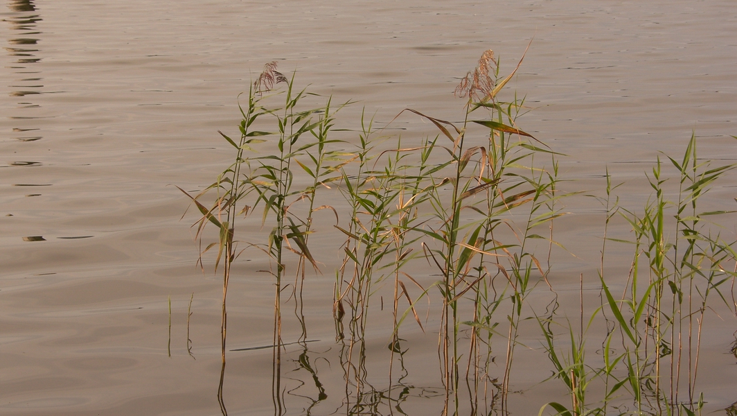 SH107853.JPG