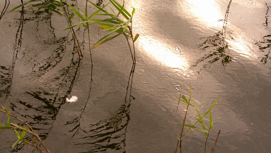SH107854.JPG