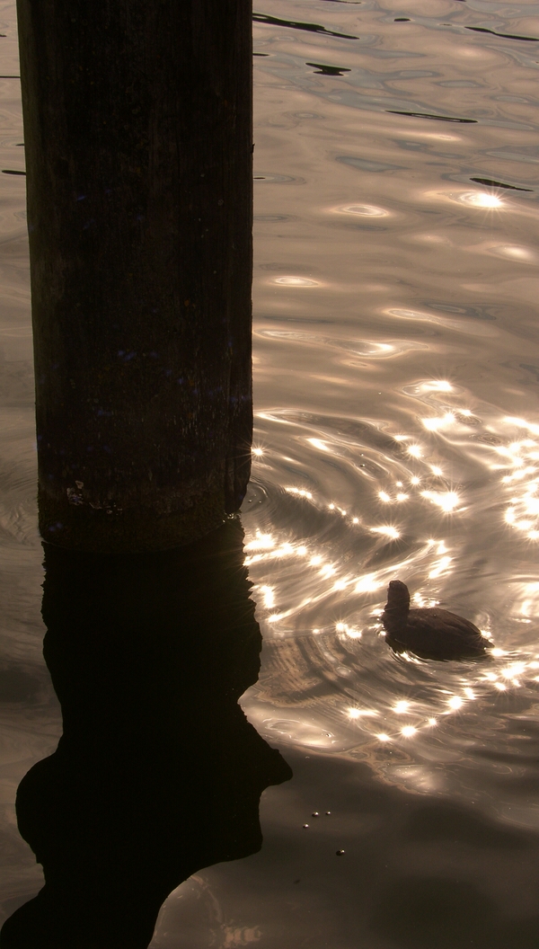 SH107862.JPG