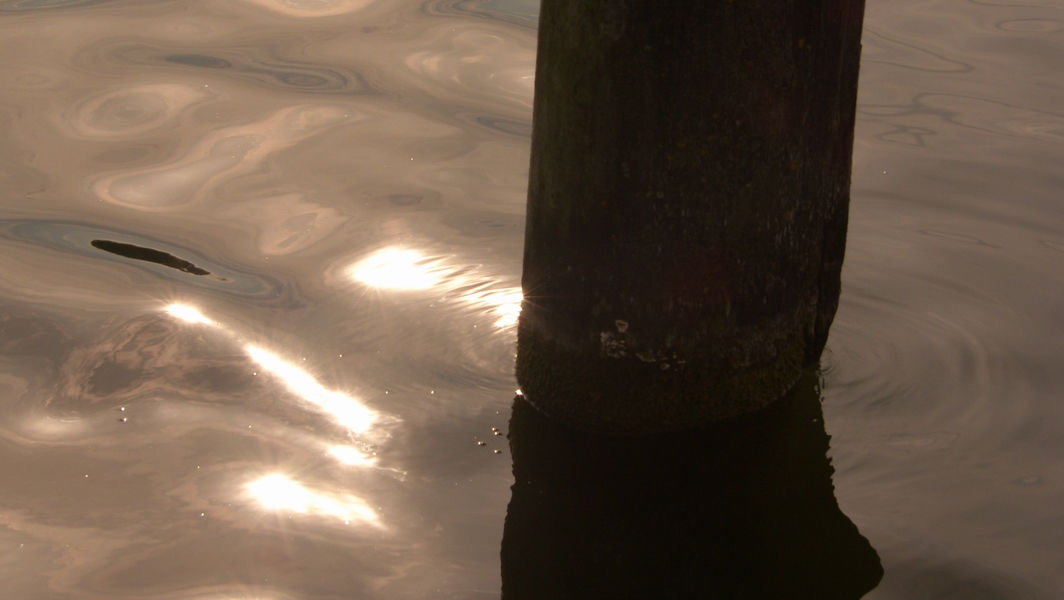SH107865.JPG