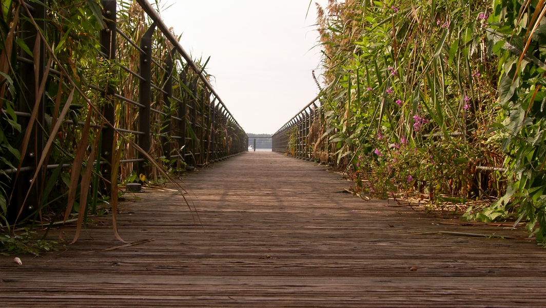 SH107870.JPG