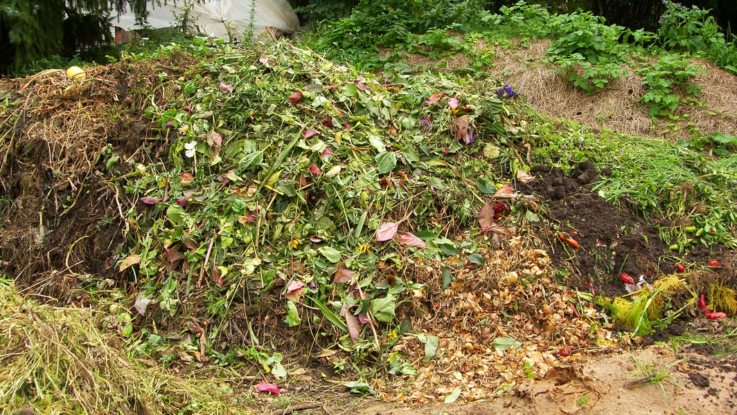 SH107886.JPG