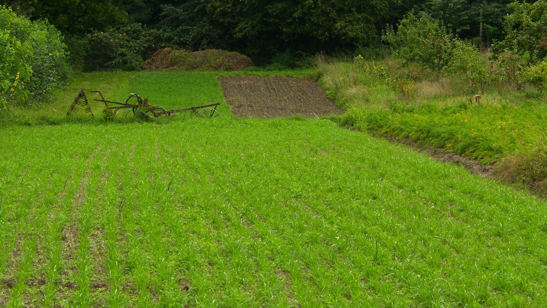 SH107892.JPG