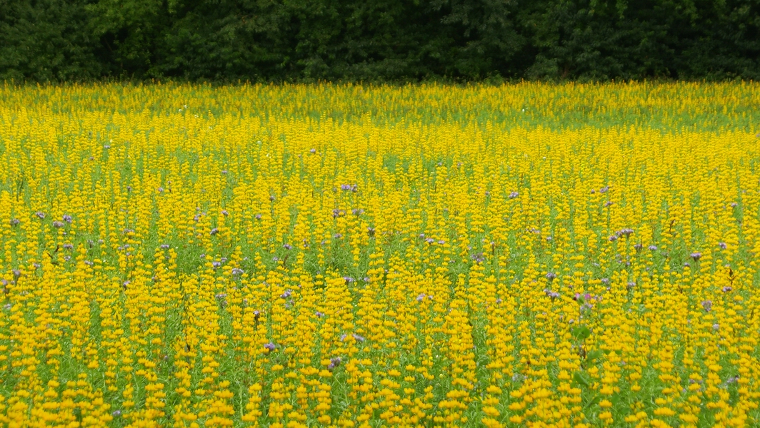 SH107902.JPG
