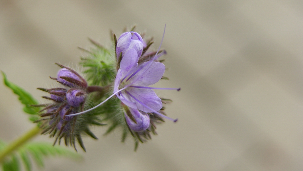 SH107911.JPG