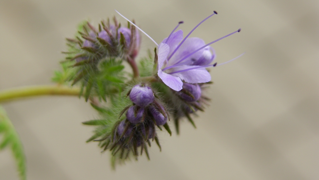 SH107913.JPG