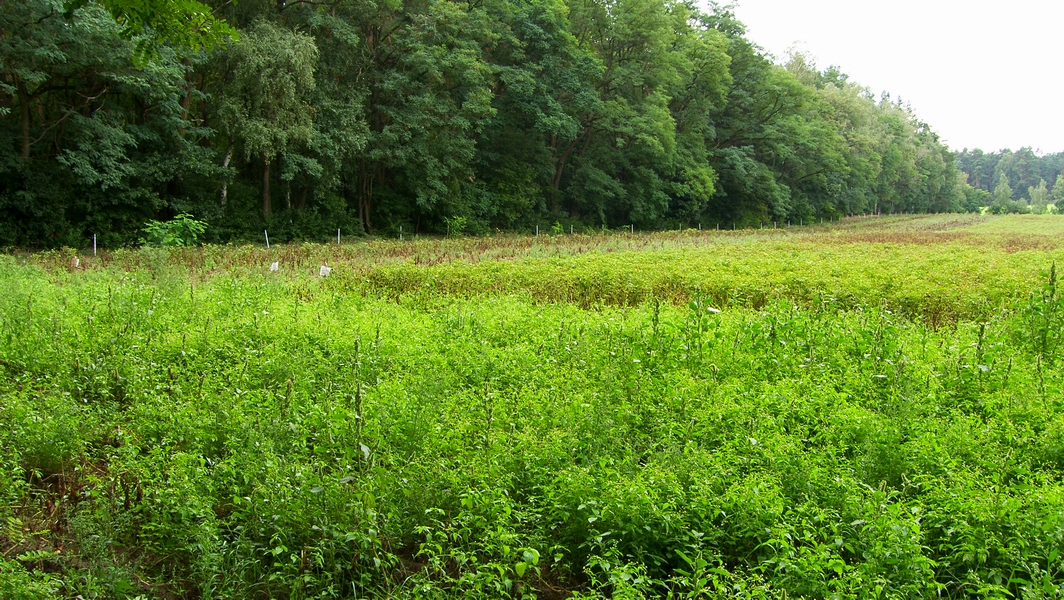 SH107918.JPG