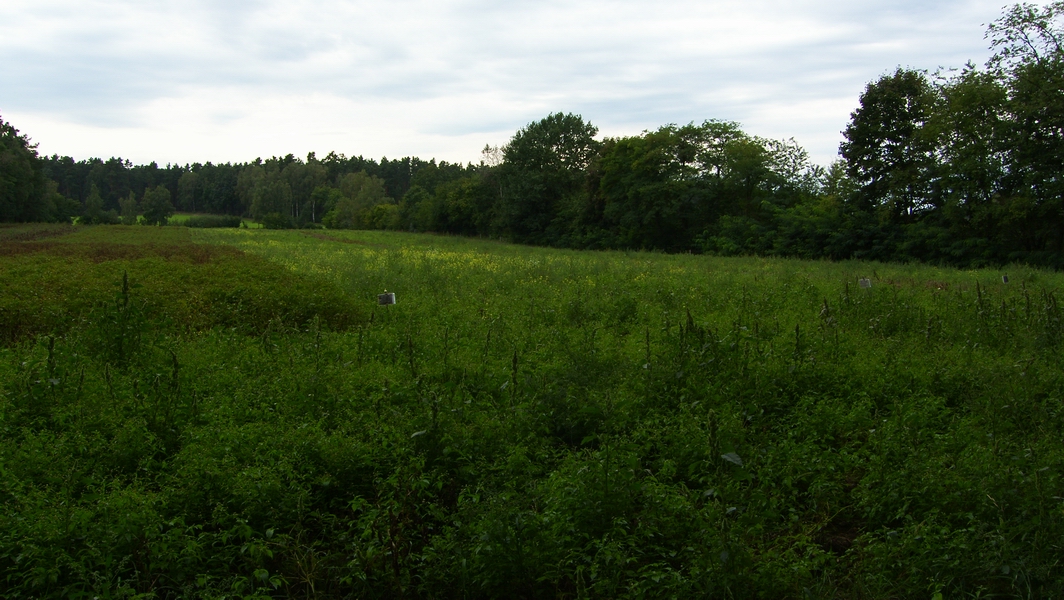 SH107919.JPG