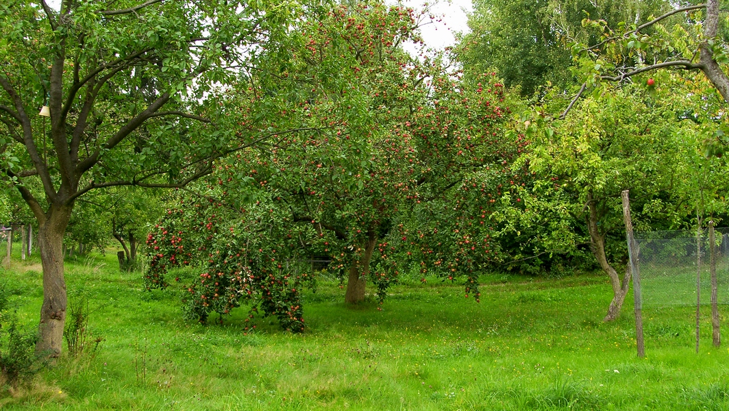 SH107928.JPG