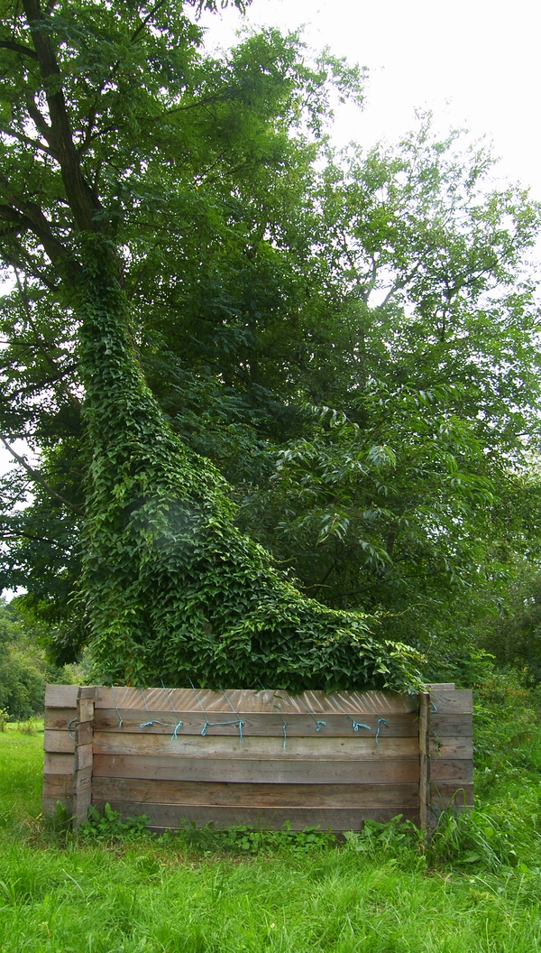 SH107950.JPG