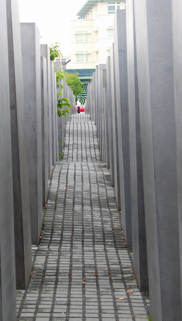 SH107980.JPG