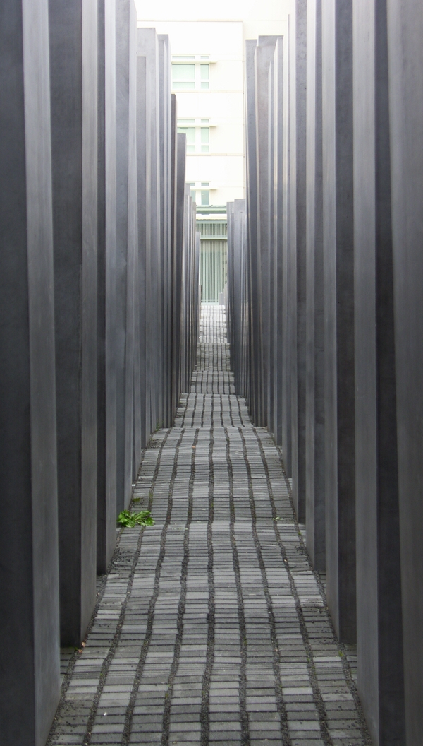 SH107981.JPG