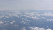 SH107787