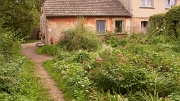 SH107872