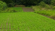 SH107892