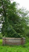 SH107950